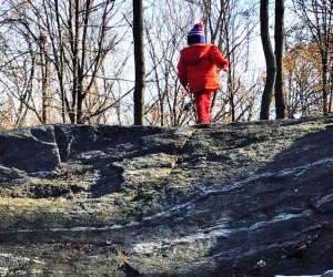 child walking in the woods Rye Nature Center westchester winter walks