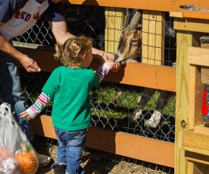 Image of kids at Parlee Farms - Farms and Petting Zoos Around Boston