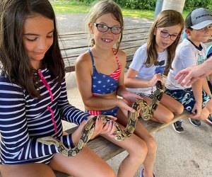 These camps are filled with great summer activities for Connecticut kids! Photo courtesy of Mixville Adventure Camp