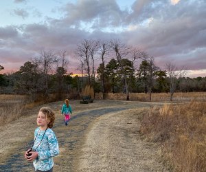 The Best Things to Do in Chincoteague, VA with Kids