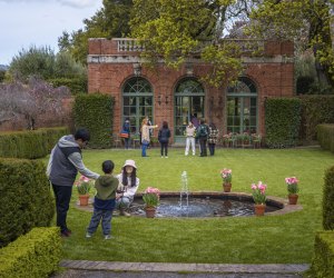 Outdoor Activities for Preschoolers in the Bay Area Filoli Gardens