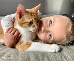 Little girl cuddles a kitten for International Cat Day! 