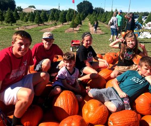 Best Pumpkin Patches Near Houston for Fall Fun