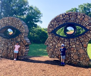 Morton Arboretum. Photo by Maureen Wilkey