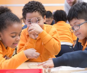 Success Academy Harlem Schools, Virtual Information Session