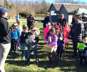Hunt for Easter eggs in the lush grass of Sagamore Hill, home of the 26th president, Theodore Roosevelt. Photo courtesy of Sagamore Hill National Historic Site, National Park Service, Oyster Bay