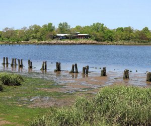 Brooklyn Salt Marsh has lovely hiking trails.