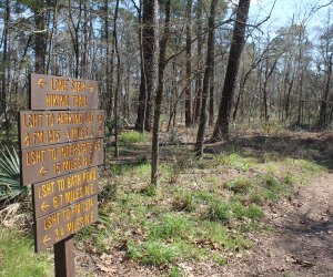 Lone Star Hiking Trail in the Stubblefield Lake Recreation Area in the Sam Houston National Forest