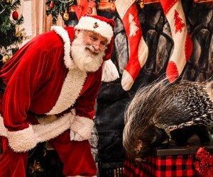 Visit Santa at Christmas Village with the Critters. Photo courtesy of Leesburg Animal Park