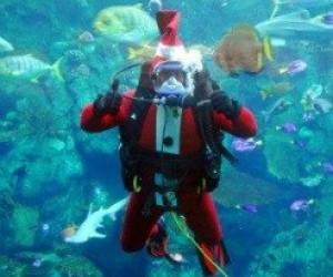 Fun & Free Things to Do This Weekend with LA Kids: CicLAvia, Sand Snowmen, and Scuba Santa Dec 6- 7