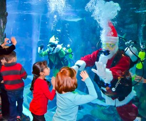 Dive into breakfast with Santa at the Downtown Aquarium. Photo courtesy of Downtown Aquarium.