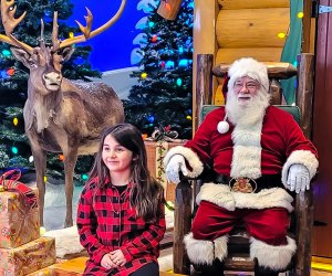 Get your traditional holiday photo with the top places for pictures with Santa in Boston in 2022! Santa's Wonderland photo courtesy of Bass Pro Shops