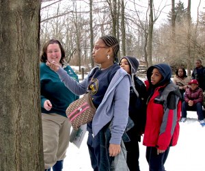 Watch how maple trees are tapped on Saturday at the Environmental Center at Lord Stirling Park. Photo courtesy of the Somerset County Park Commission