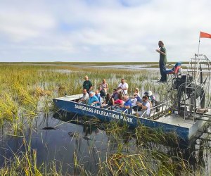 Sawgrass Recreational Park in the Florida Everglades