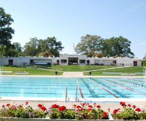 a pool in scarsdale