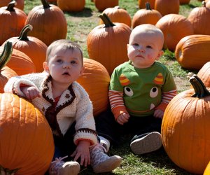 Pumpkin patches near Long Island F & W Schmitt Family Farm