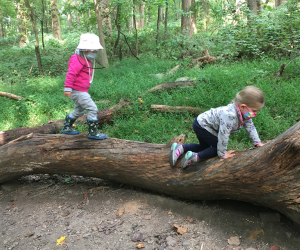 Discover the beauty and wonder along the trails at Schuylkill Saturday: Self-Guided Nature Exploration for Families. Photo courtesy of the center 