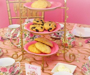 Weekday Fun for NJ Kids: Princess Tea, Zoo Explorers, Bug Club