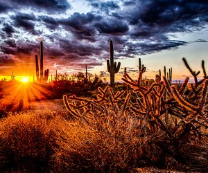 Scottsdale with Kids: 40 Best Things to Do in Scottsdale, AZ
