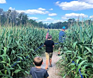 Scott's Maze Adventure 12 Corn Mazes near Orlando for Fall Fun with Kids
