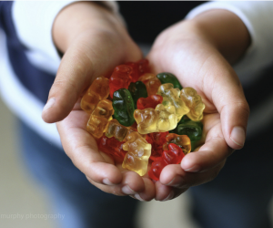 Best Candy Shops To Visit Around Houston
