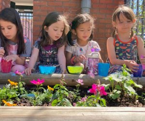 Cultivate a love of nature at an early age. Photo courtesy of The Philadelphia School