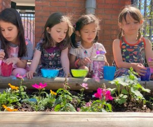 Wild Heart Forest, Farm and Nature School