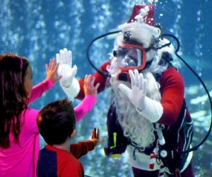 25 Awesome Santa Claus Activities for Philly Kids Scuba Santa returns to Adventure Aquarium.