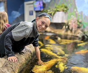 Fun Things To Do in Sacramento, California: Sea Quest