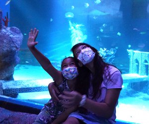 Cure the midwinter break blues with a visit to the SeaLife Aquarium at American Dream. Photo by Jody Mercier