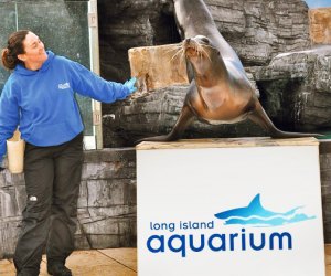 Top things to do in Riverhead with kids: Long Island Aquarium