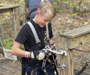 Treetop adventures are back for April 2023 in Connecticut! Photo courtesy of The Adventure Park at Storrs 