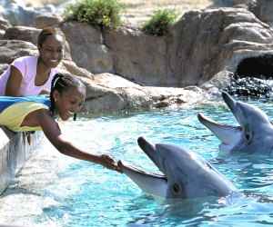 Kids Free October in San Diego: Deals at the Zoo, Legoland, Seaworld