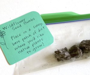 When you make wildflower seed bombs, you gift them or just plant them! 