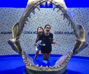 Coex Aquarium in Seoul, South Korea