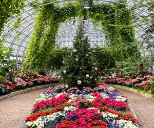 Serenity is this year's theme at Garfield Park Conservatory. The exhibit is up through January, photo courtesy of the conservatory