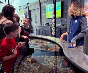 Alaska SeaLife Center: Things To Do in Seward, Alaska  with kids