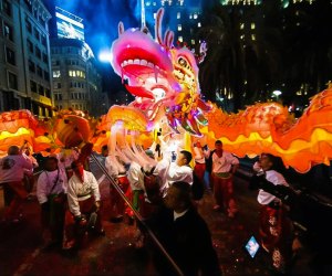 Celebrate the Year of the Snake. Photo courtesy of the Chinese New Year Festival and Parade 