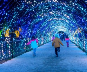 Run to the Holiday Lights at Filoli while you can. Photo courtesy of Filoli Gardens