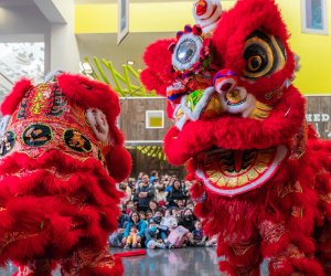 Lunar New Year Celebration at the Children's Museum of San Jose. Photo courtesy of the event.