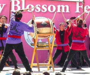 Immerse yourself in culture at the Northern California Cherry Blossom Festival. Photo by Ron via Flickr 2.0