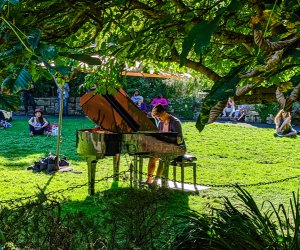 Hear music in the botanical gardens at Golden Gate Park. Flower Piano photo by Mitch Altman via Flickr  CC BY-NC-ND 2.0