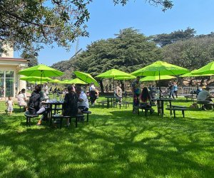 San Francisco Restaurants Where Kids Can Play While Parents Eat Park Chalet