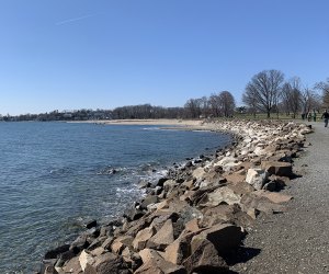 the beach ot sherwood island state park