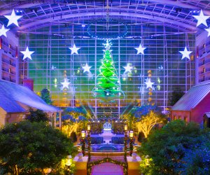 Be dazzled by the Shine Light Show at Gaylord National Resort. Photo courtesy of the resort