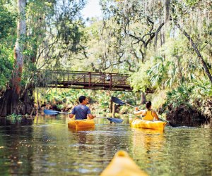 kayaking tour of Shingle Creek. 100 Things To Do in Orlando with Kids