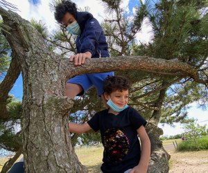 Two boys climb a tree