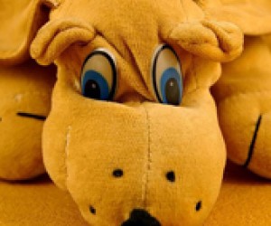 Keep a Special Sick Day Toy
