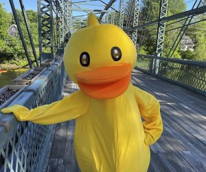 The quack is back at the Simsbury Duck Race. Photo courtesy of Simsbury Duck Race, Facebook