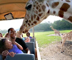 six flags zoo new jersey